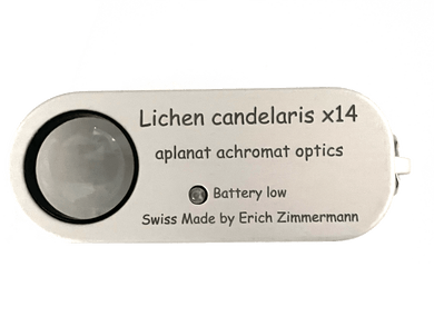 Lichen candelaris 14x - luper.no
