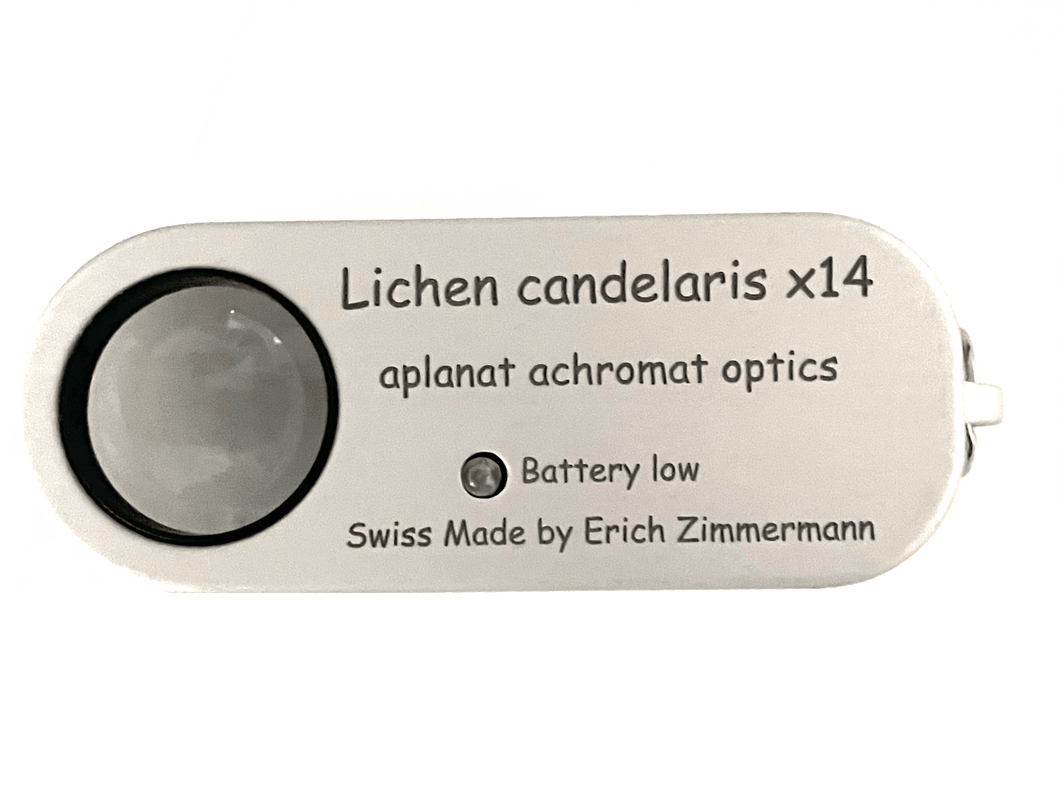 Lichen candelaris 14x - luper.no